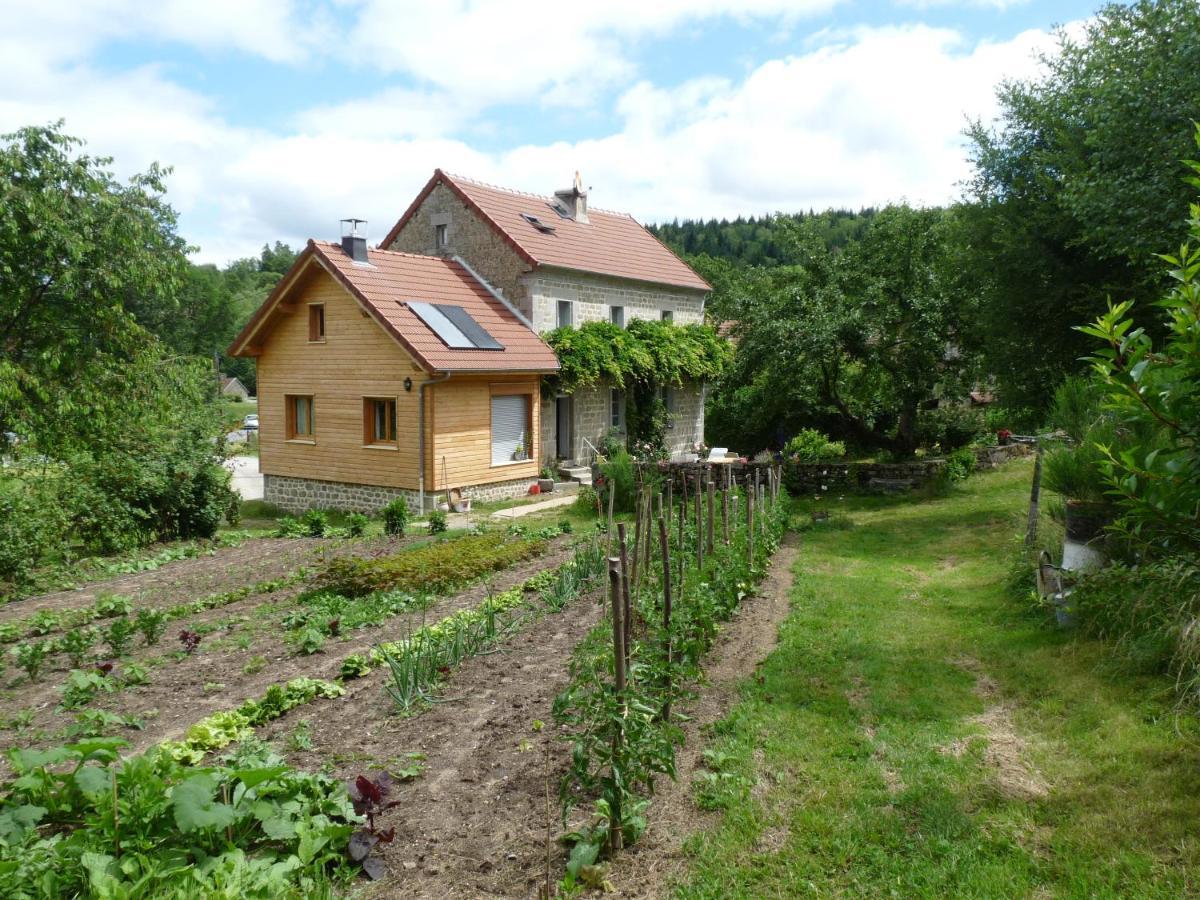 Saint-Georges-Nigremont Chez Geppetto B&B 외부 사진